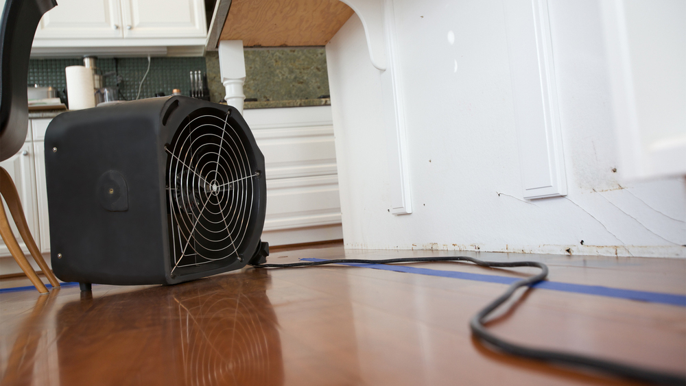 Water Damage Cleanup in Tustin, California (6680)