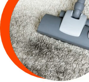 Can Carpet Cleaning Cause Mold?