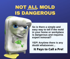 What the EPA Says About MOLD