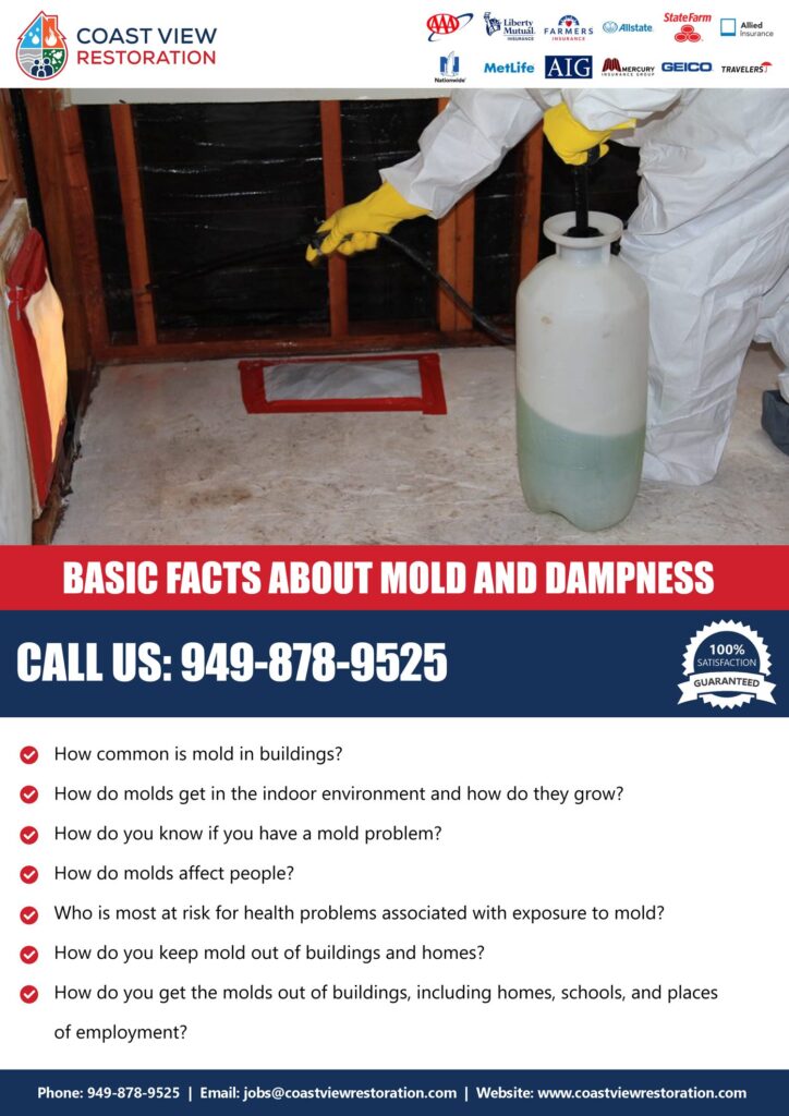 Basic Facts about Mold and Dampness