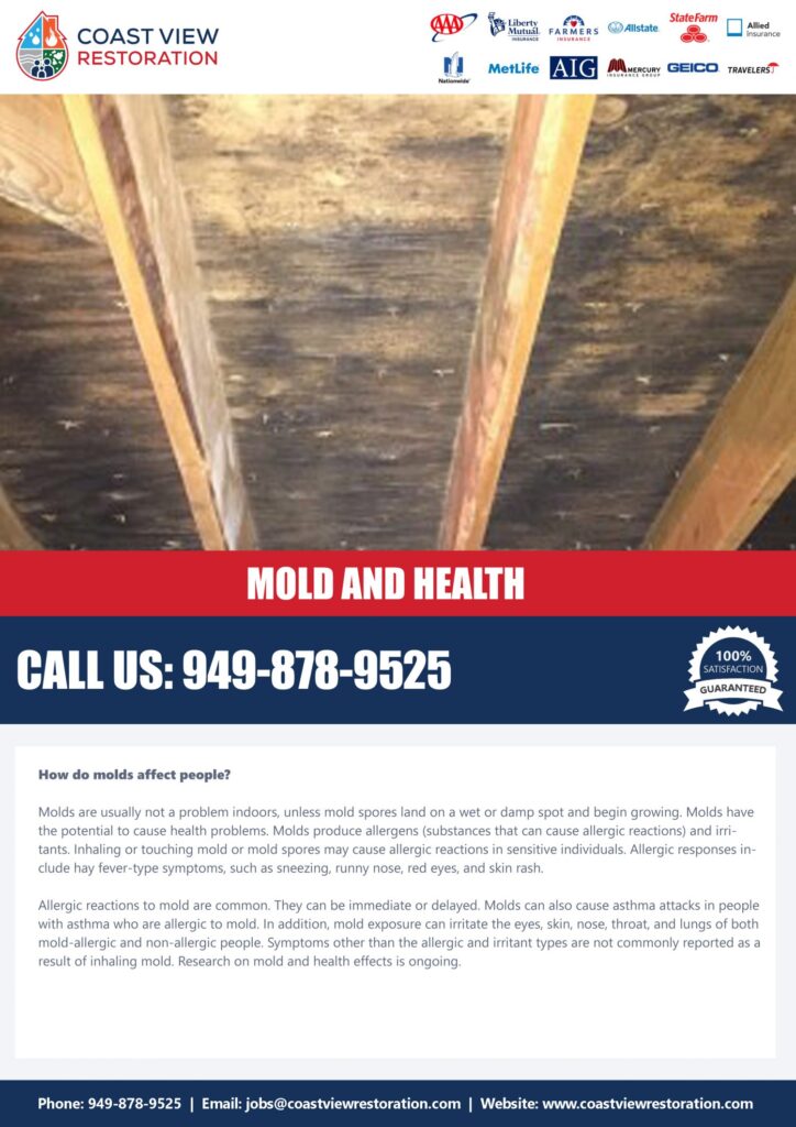 Mold and Health